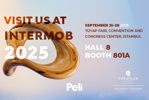 PELI at Intermob 2025!